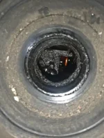 ДВИГАТЕЛЬ НА NISSAN ELGRAND TE52 QR25DE — изображение 7