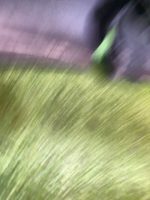 БАМПЕР НА MAZDA AXELA BL6FJ — изображение 3