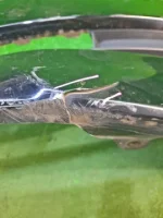 БАМПЕР НА TOYOTA WISH ZGE20 — изображение 4