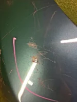 БАМПЕР НА NISSAN LEAF ZE0 — изображение 4