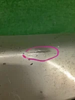 БАМПЕР НА TOYOTA IPSUM SXM10 — изображение 6